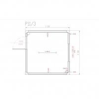 P11/3